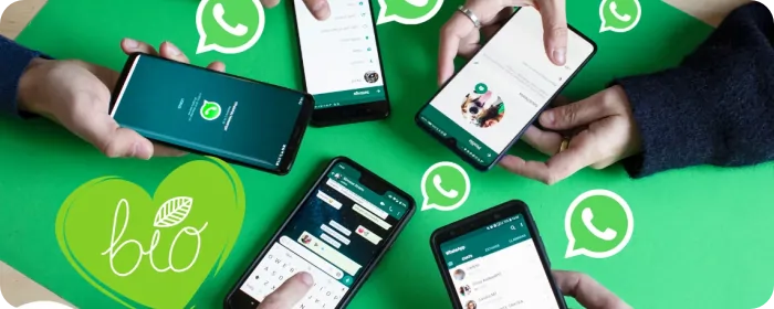 Kehilangan akun whatsapp