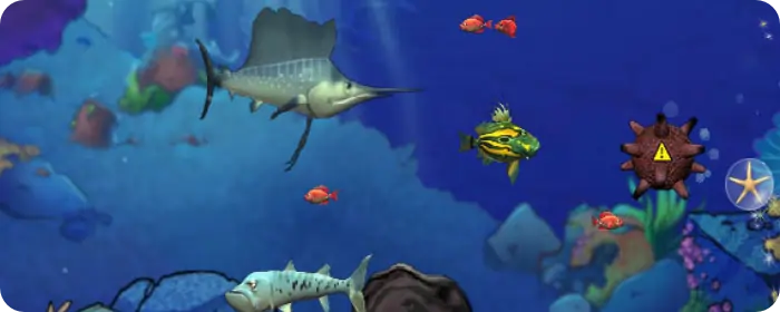 Feeding Frenzy